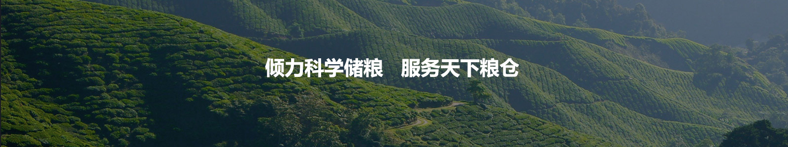 廣告二